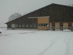 Wintereinbruch
