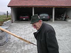 Hoflinde pflanzen