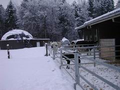 Winter auf dem Loorenhof
