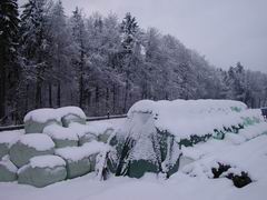 Winter auf dem Loorenhof