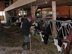Grossvater beim Futter geben