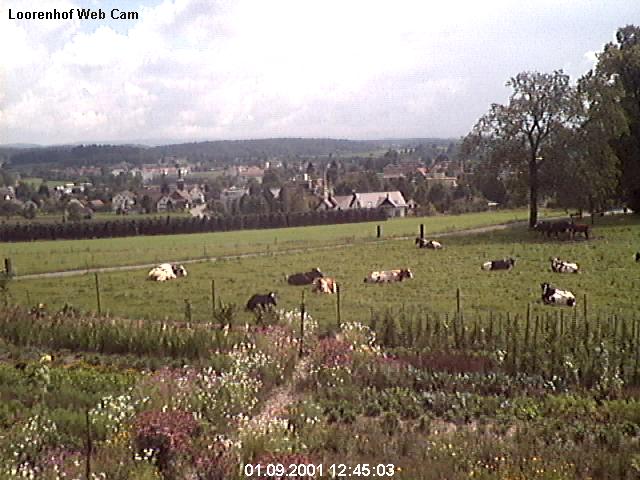 webcam image 01