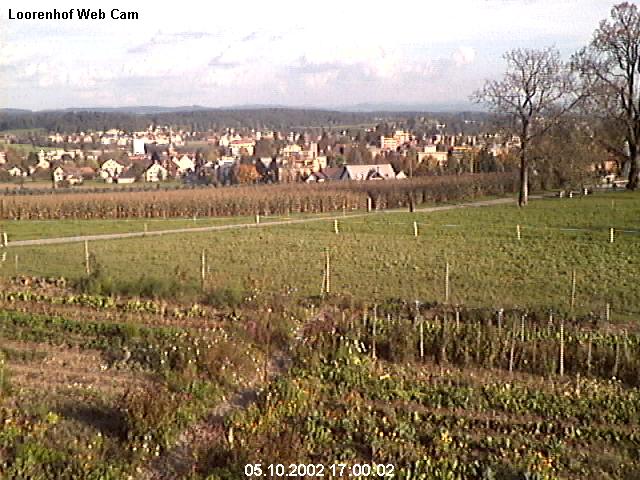 webcam image 11