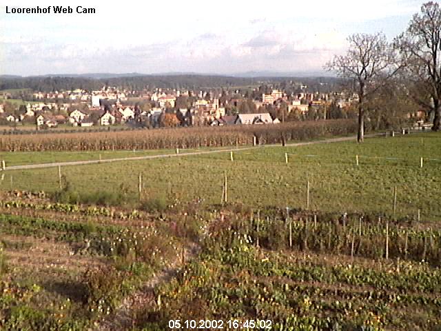 webcam image 12