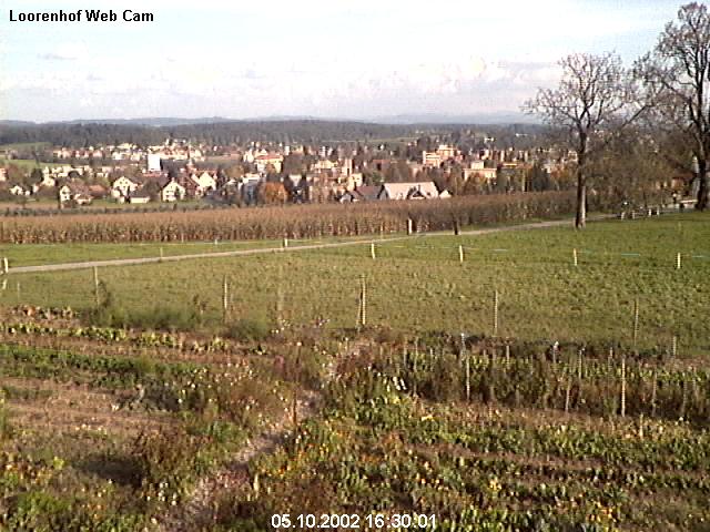 webcam image 13