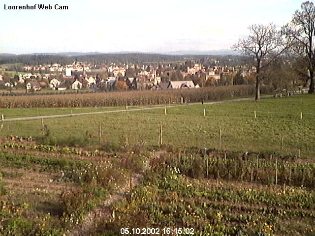 webcam image 14