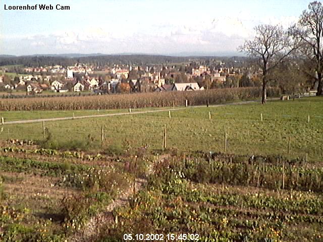 webcam image 16