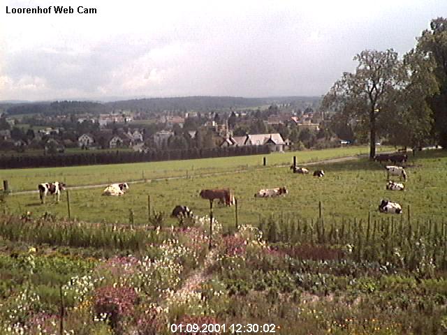 webcam image 02