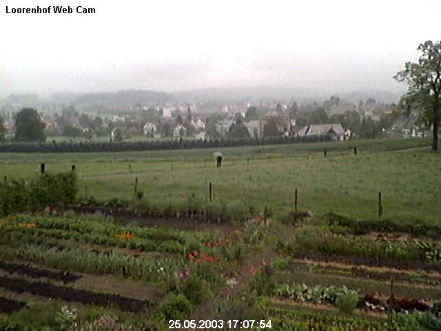 webcam image 04