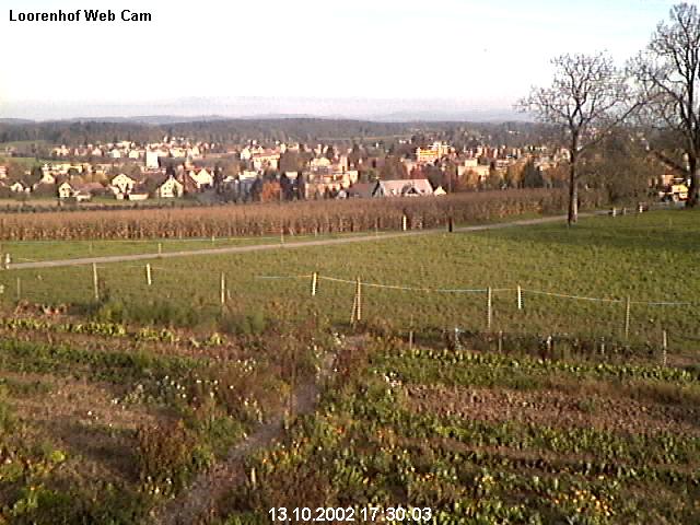 webcam image 07