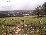 webcam image 02