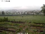 webcam image 03
