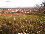 webcam image 05
